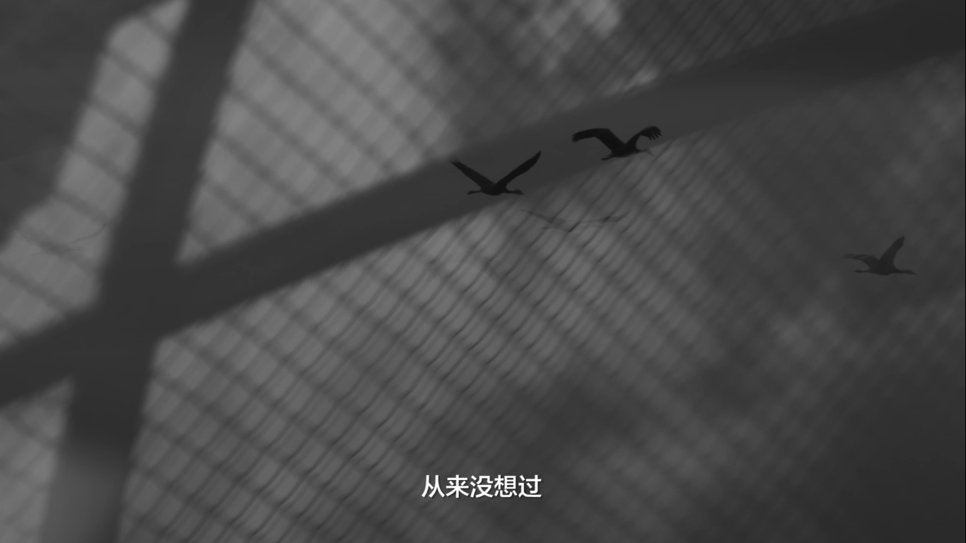 #CUBA# 不縛能量，放膽去戰(zhàn)