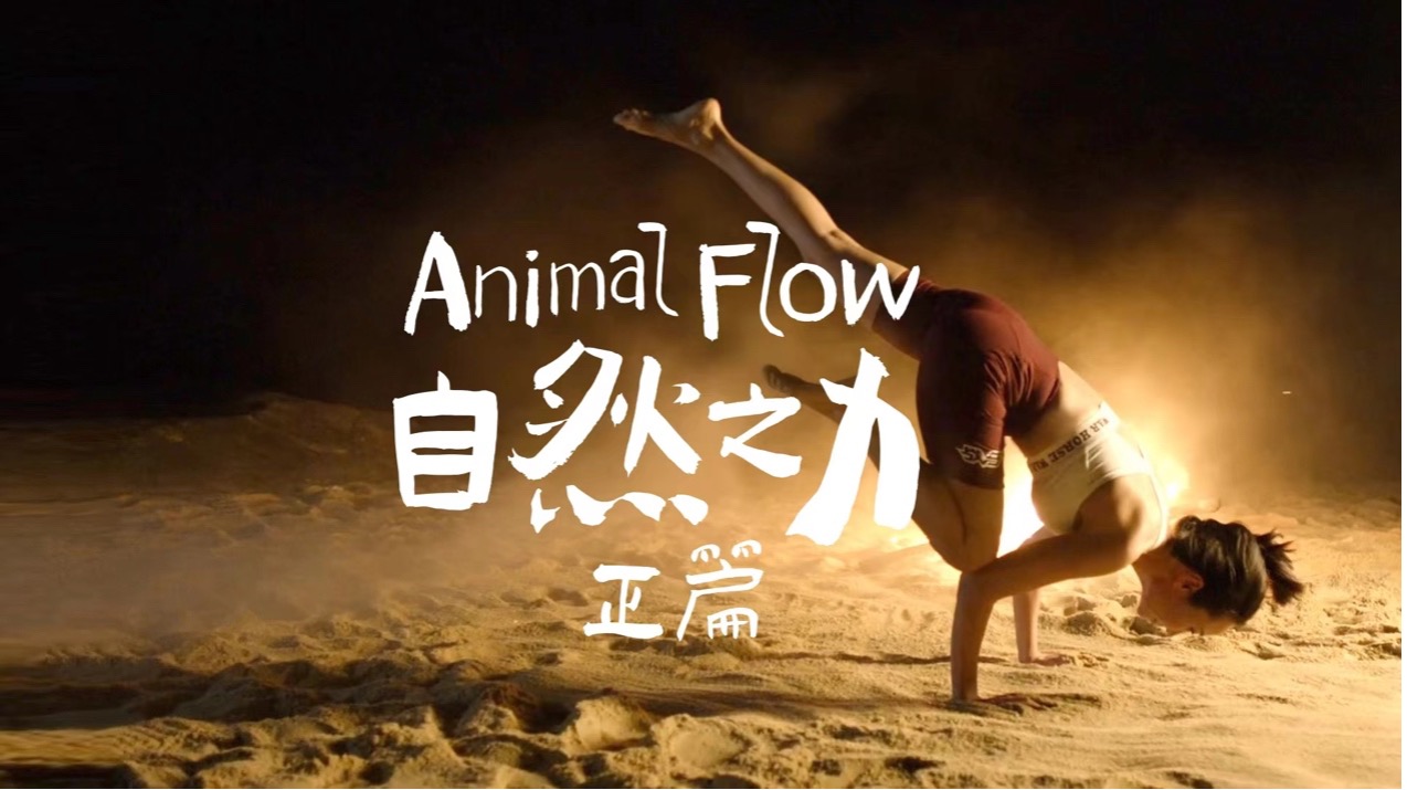 跟隨“動物流”探索自然能量